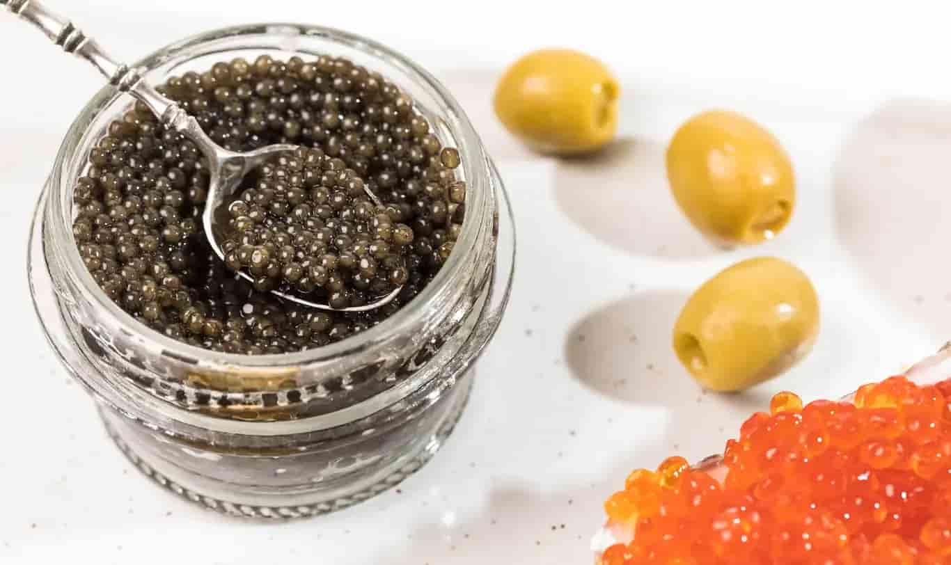 تصویر 1 از خرید خاویار سیاه امپریال بلوگا 100 گرمی + فروش صادراتی